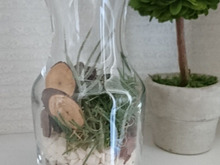 100均のフェイクで苔テラリウムぽいの