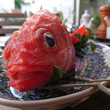 お魚図鑑 “きんき” の巻 /// by 魚秀 Vol.6