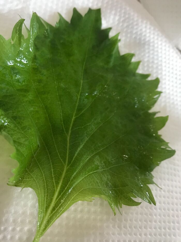 水分を取る