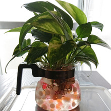 こんな使い方もあるんです❗安定してる❤️取っ手も付いてるしいいかも⁉️