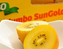 特集 ステキなアイデアを暮らしニスタ編集部でまとめさせて頂きました。