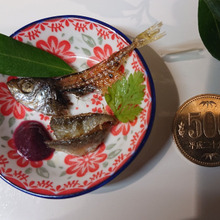 super仁丹のムニエル、ブルーベリーソース