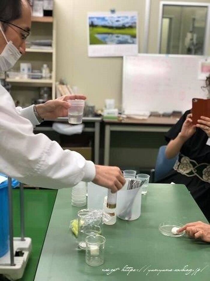 生コラーゲンの手作り体験