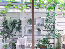 暑い夏を涼しく過ごすためのインテリア術