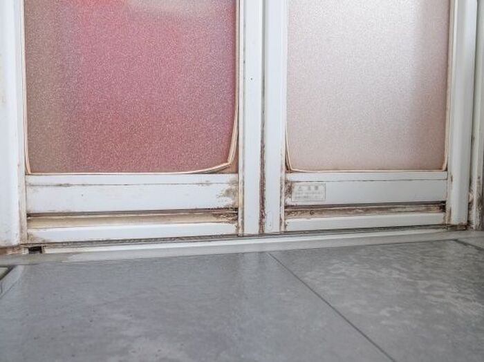 放置すればするほど厄介に!見落とされやすいお風呂ドアの掃除方法