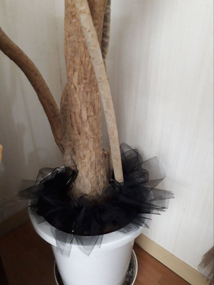 観葉植物の土隠し