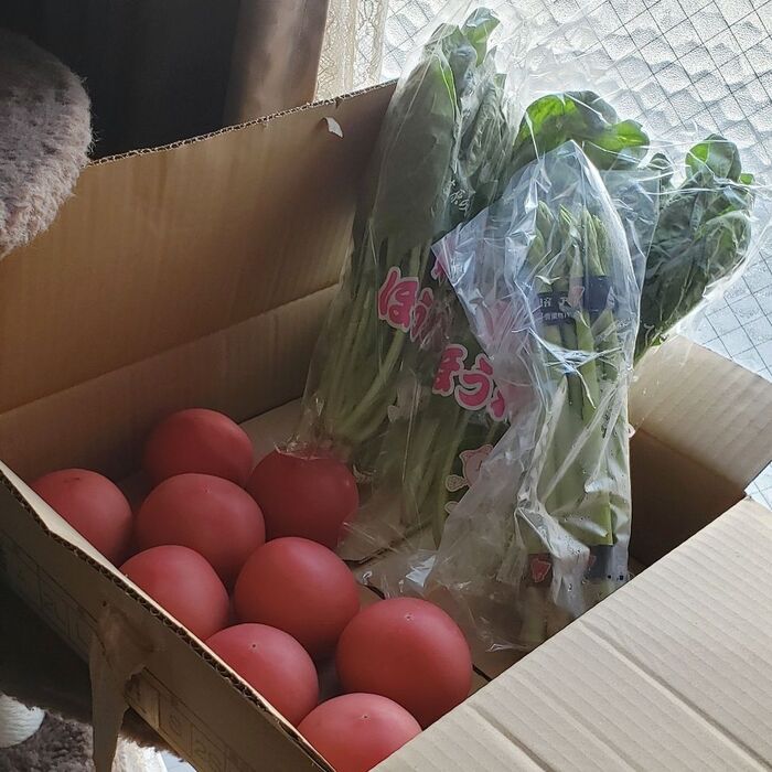 JAあいちさんからのモニター野菜