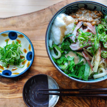 ねばねば・薬味andアジのたたきうどん