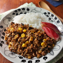 ナスととうもろこしのキーマカレー