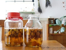 2週間経過後の『梅仕事』梅シロップの炭酸割が美味しい♪