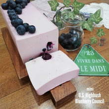 ブルーベリーたっぷり!ブルーベリーレアチーズケーキ