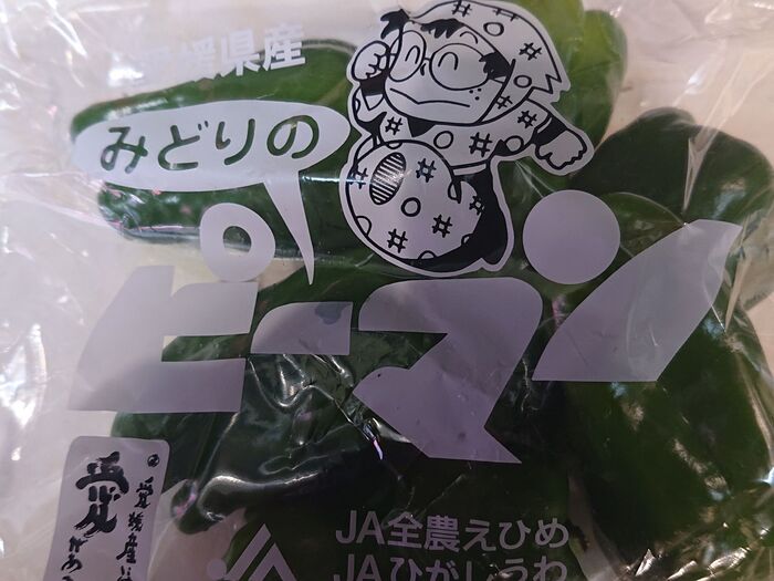 それでは・・・・予習が終わったので”ピーマン”に行きます。