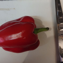 基本の ”き” パプリカ&ピーマンの切り方