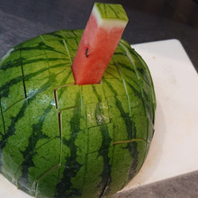 人生の酸いも、甘いも知っているそこの貴方・・・・・・この西瓜でsuika 甘いか答えて下さい!!