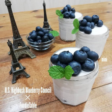 スッキリ!爽やか!ブルーベリーのヨーグルトムース