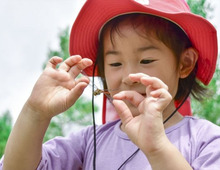 【自由研究ネタ】夏休みの経験や発見を自由研究にするコツとは?