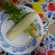 恐ろしく甘いPure White・・・・・お待たせしました!!