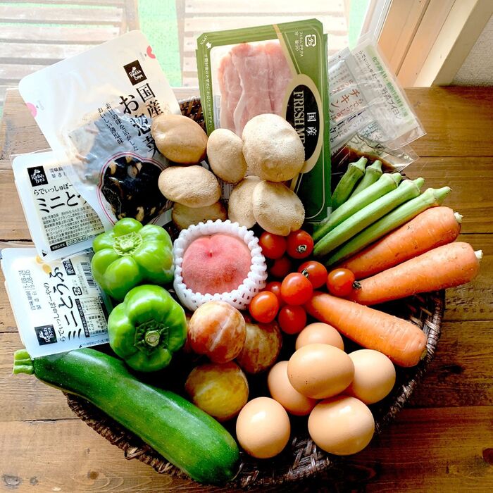 【共働き】試してみた♥らでぃっしゅぼーや❤11品1980円!おためしセット