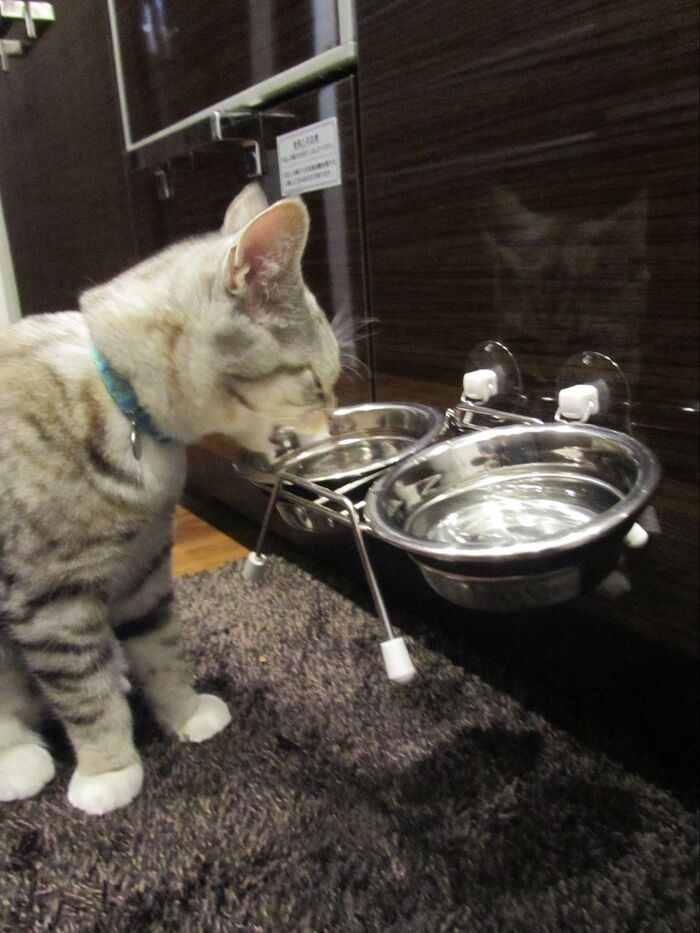 トレイを乗せて完成です