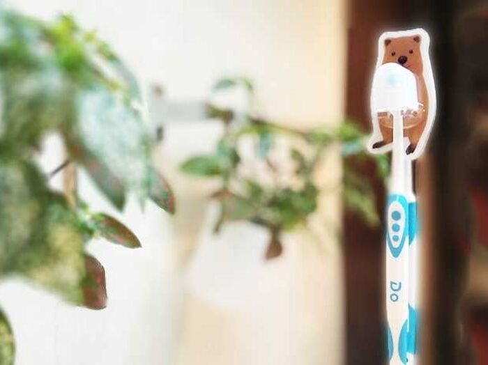 ホントに100均?めちゃカワ!キャンドゥのアニマルグッズ