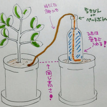 留守中も心配なし☆ 麻ひもでお手軽♪ 自動水やり装置