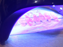 夏の思い出★桜貝をアクセサリーパーツに