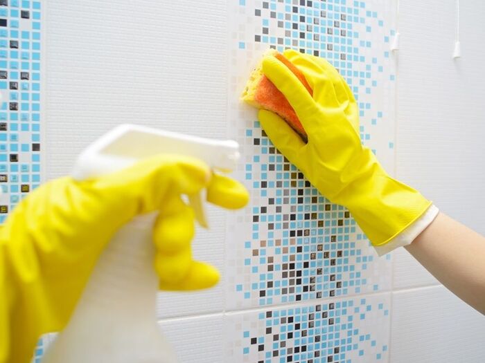 カビの掃除方法とは?