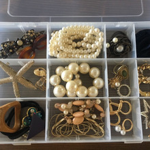 DAISO 持ち運び楽々アクセサリー収納ケース