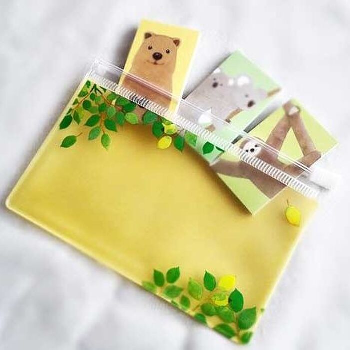 100円で2度オイシイ!かわいいケースはアレの収納にぴったり