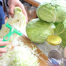 これは便利♪キャベツの千切りがあっという間にプロの腕前に!