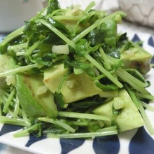 このコラボは美味い♪ アボカドと豆苗のガーリック炒め