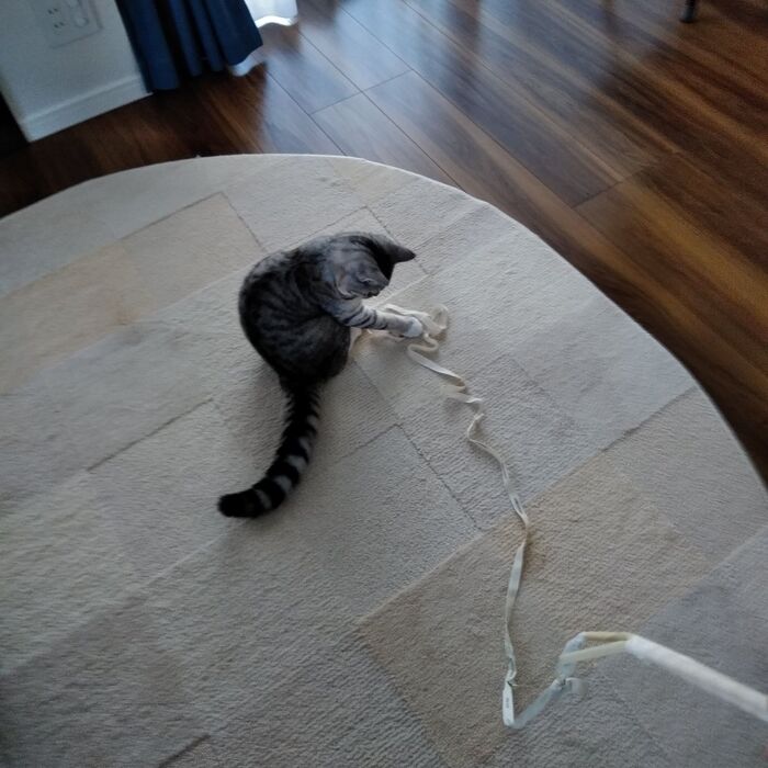 リボンとストローを結びます。完成です。