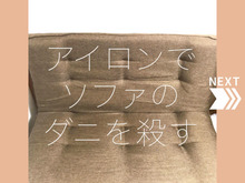 アイロンでソファのダニを殺す