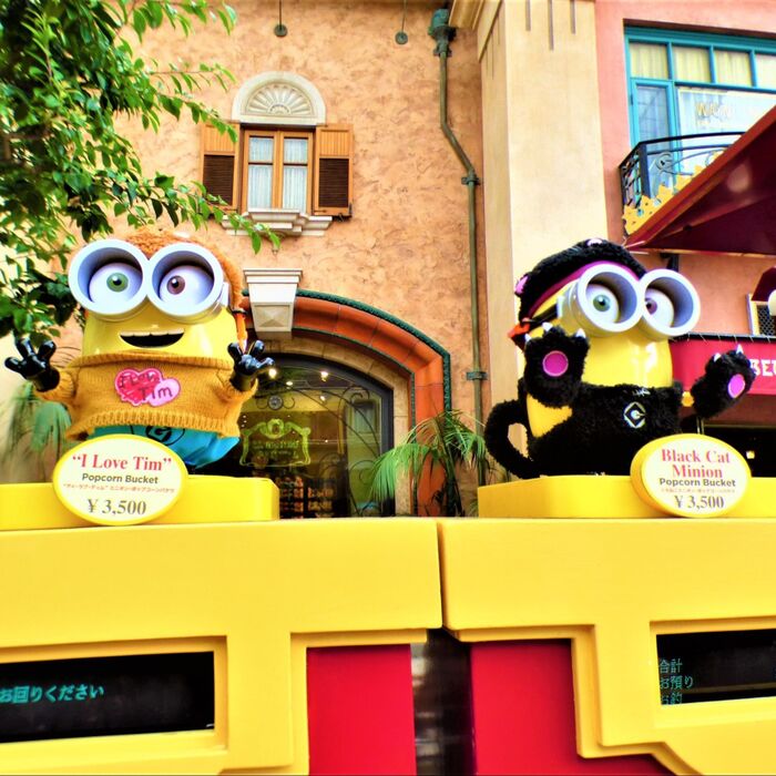 こちらでは、黒猫ミニオンバケツも販売されています♡