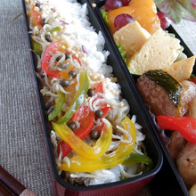 週2日から始めるお弁当🍱「パプリカちりめん山椒」