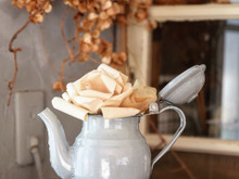 乾燥が気になる季節!コーヒーフィルターでお花の加湿器を作ろう!