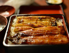【2019年】 おいしいうなぎが食べたいなら、ふるさと納税を!