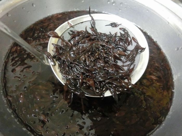 乾燥芽ひじきを5分でふっくら戻す方法