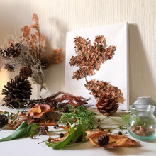 子供が拾ってきた落ち葉でアート