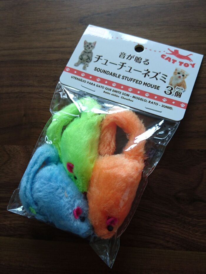 子猫の1人遊びに!コスパ最高なネズミのおもちゃ