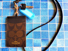 100均グッズで朝のバタバタをすっきり解決!!