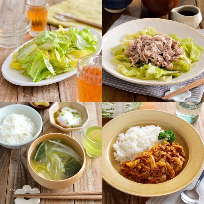 キャベツを4つに分けて1玉消費！簡単レシピ4品。副菜、おかず、汁物、作り置き。