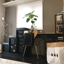 サミシマスなゴムの木がキラキラ仕様にプチ変身♪