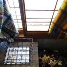 我が家の秋冬カーテン事情!冬の窓辺に「暖か」を掛ける⛄