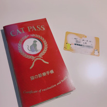 ねこねこ防災 動物病院セットも防災セットに♪