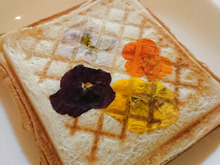 押し花ホットサンド