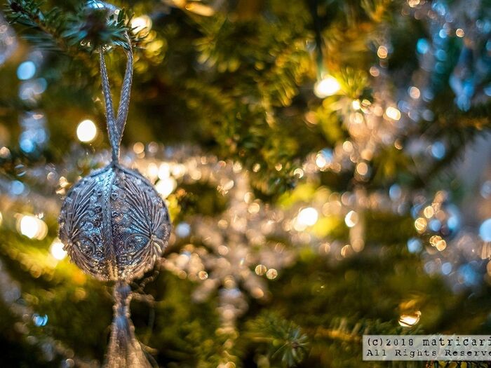 ホームパーティを成功させるコツ☆クリスマスの準備は「IKEAの生木」から