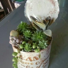 アンティーク風植木缶