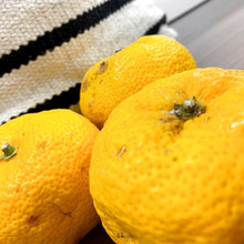 この時期旬の果物はジャムにして美味しく長く愉しむ♪