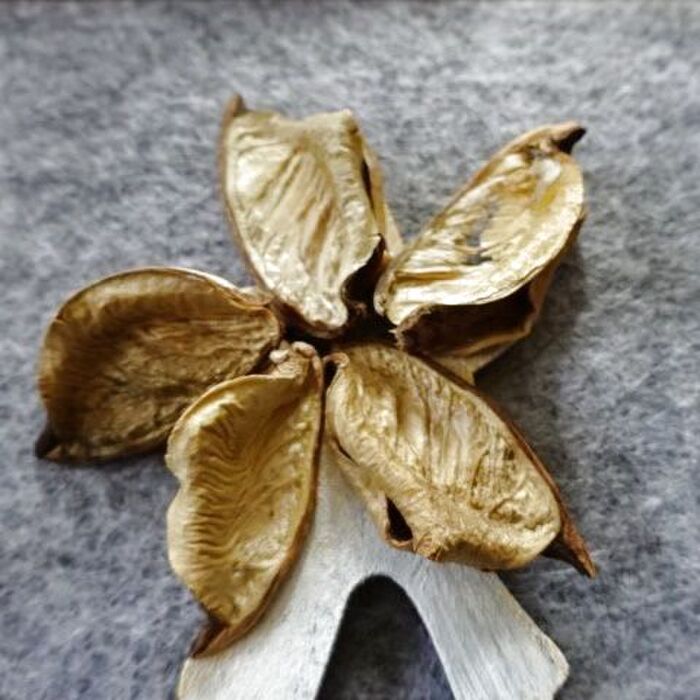 綿殻5枚を天辺の星飾りに♪